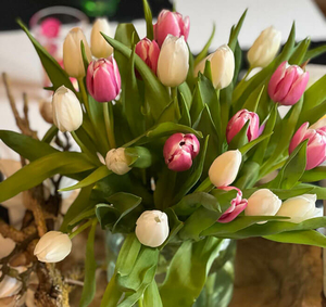 Pflegemitarbeiter Tagespflege Erfurt